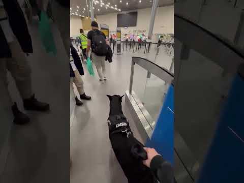 Certificado aceptado internacionalmente